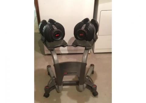 Bowflex 552 Adjustable Dumbbells with Stand